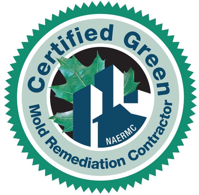 Mold Remediation Contractor